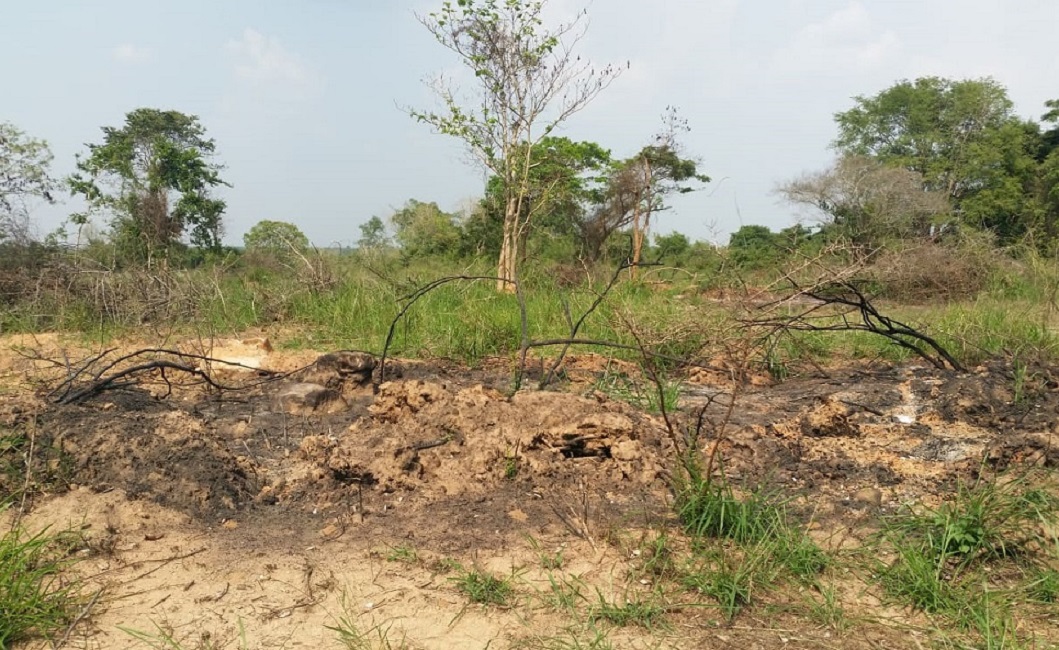 164081234 1275301976204428 1428545994581244976 n