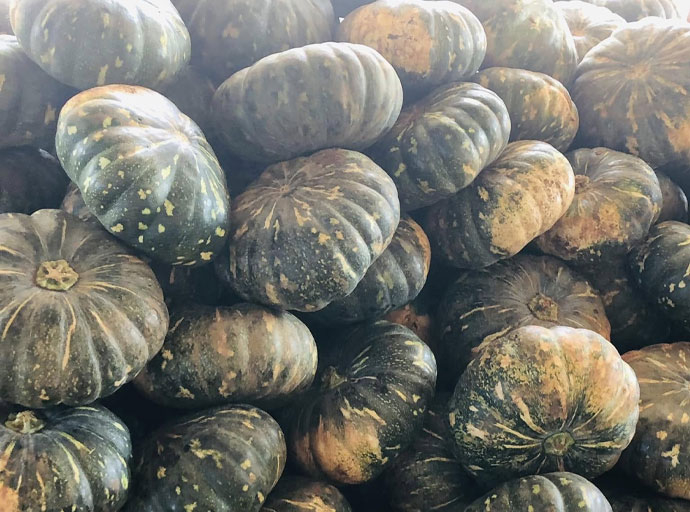 වට්ටක්කා පවුල් දස දහසක් අමාරුවේ වැටිලා