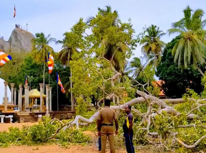 මිහින්තලේ බෝධියක් කඩා වැටෙයි- එක් අයෙක් ජීවිතක්ෂයට