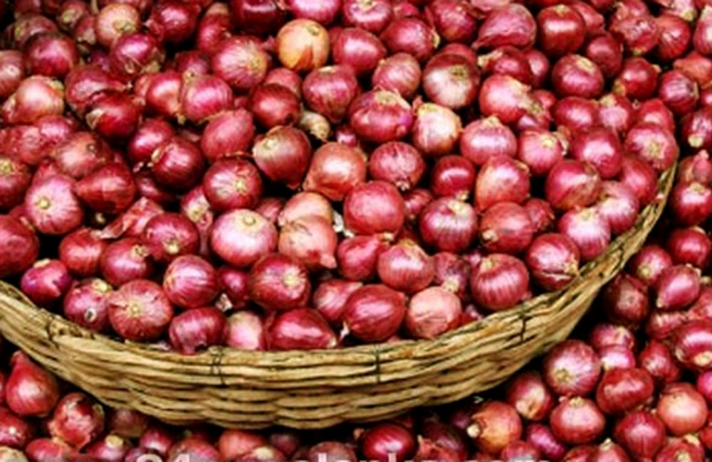 මෙරටට ගෙන ආ ලොකු ලූනු ප්‍රමාණය ගැන රේගුවෙන් හෙළිදරව්වක්