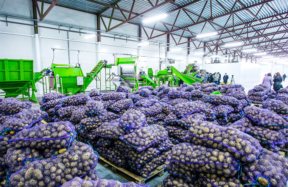 දඹුල්ලේ ශීත ගබඩාව අක්‍රීය යි; ගොවීන්ගේ අල, ලූනු කසළ ගොඩට