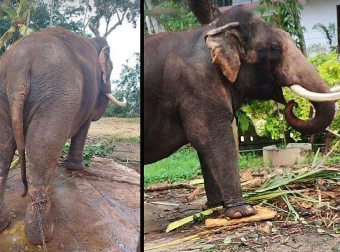 තායි රාජා සහ කණ්ඩුල ගැන හොයා බලන්න තායිලන්ත නියෝජ්‍ය අග්‍රාමාත්‍යවරයා 28 දා ලංකාවට