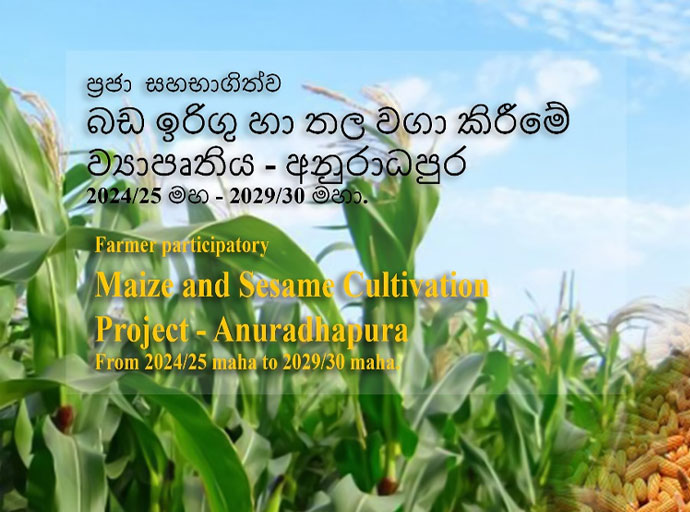 බඩ ඉරිගු භෝග ක්ෂේත්‍රයේ සුවිශේෂී පරිවර්තනයක්