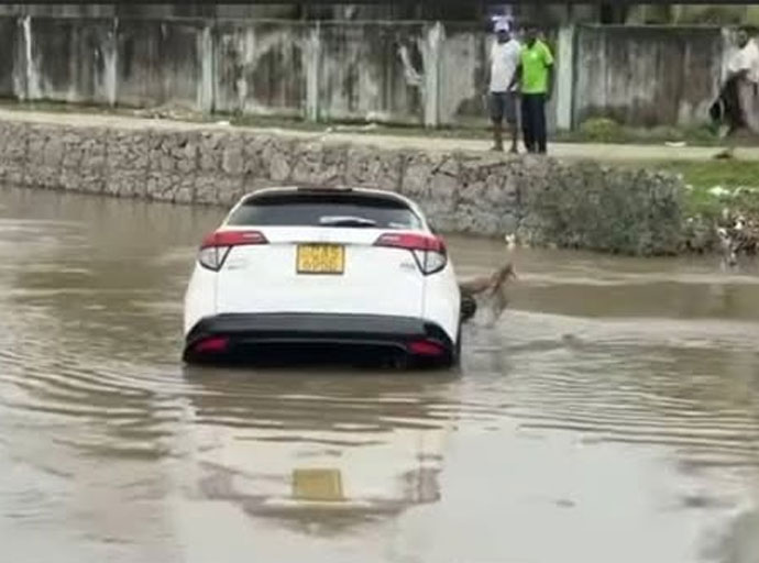 මෝටර් රිය ඇළට පෙරැළි මව -පියා -පුතා මරුට