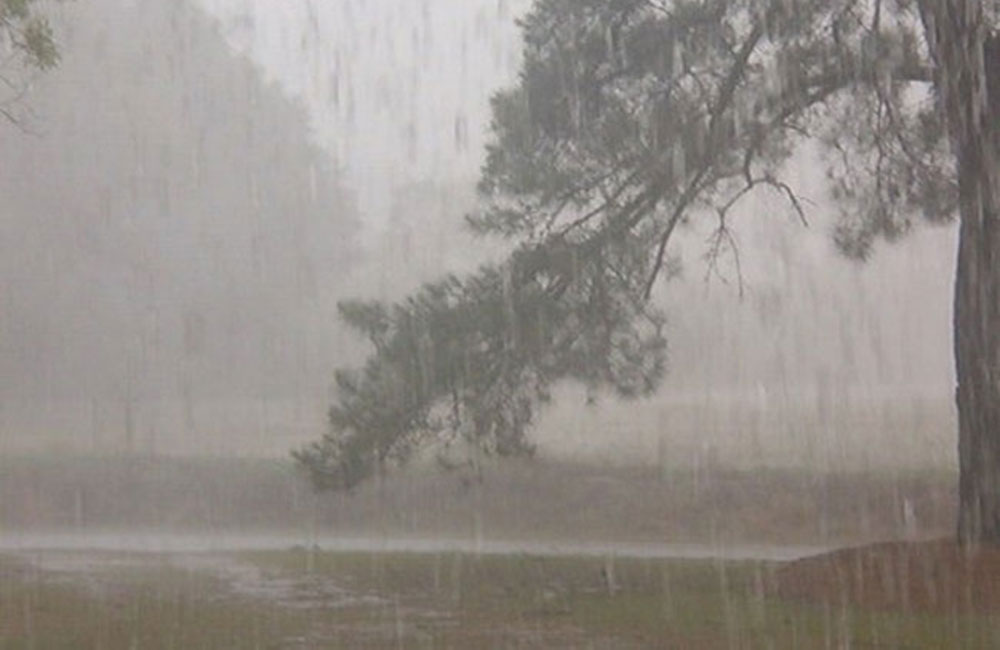 පළාත් රැසකට අද සවස වැසි ඇද හැළෙයි - විමසිල්ලෙන් කල්පනාකාරිව ආරක්ෂිතව සිටින්න