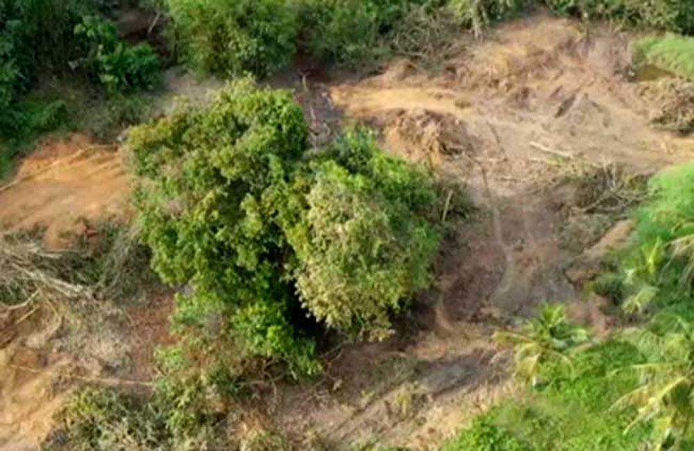 පඬු­ක­රඳ ගහේ වන්දිය මිලි­යන 980ක් !