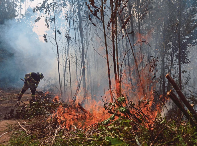 චිලී ලැව් ගිනි : පුද්ගලයින් 19 දෙනෙකු ජීවිතක්ෂයට