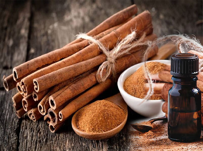 කුරුඳු අපනයනයෙන් ඉහල ආදායමක්