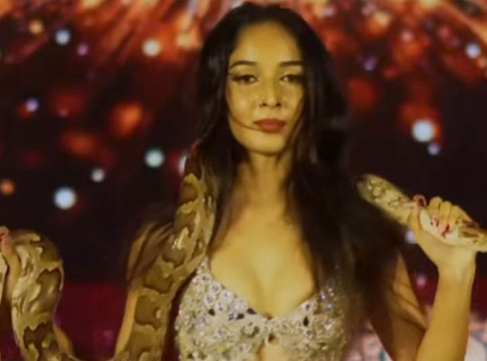 පිඹුරෙකු සමඟ නර්ථනයේ යෙදුණු "අවුරුදු කුමරිය" දැලට