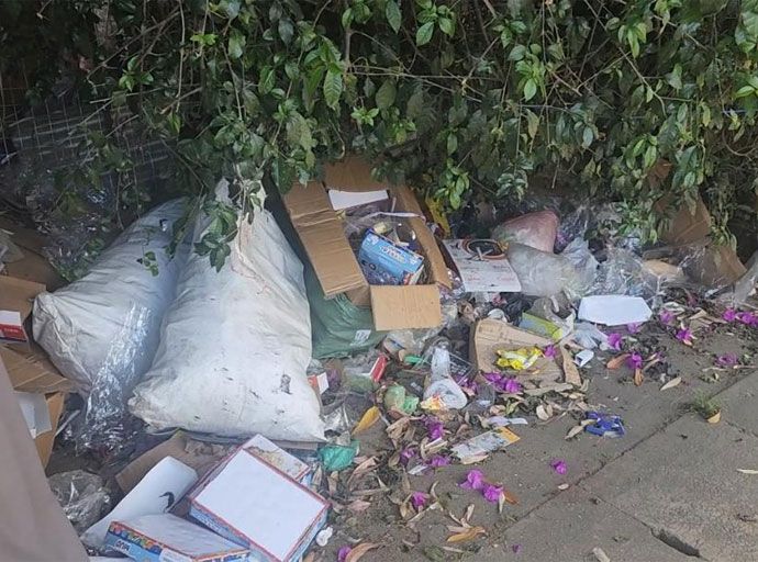 නුවරඑළිය නගර මැද සහ නගරය අවට කසල විමානයක් කළ කොවුල් වසන්තය