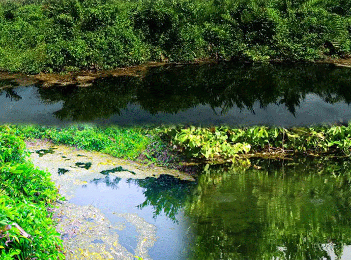 මෙරට මෙතෙක් හඳුනා ගන්නා ලද පළමු භූතාප තෙත් බිම සංරක්ෂණය කිරීමට පියවර ගැනේ