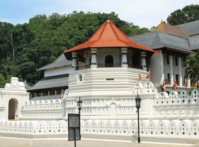වෙසක් පෝය නිමිත්තෙන් දහස් සංඛ්‍යාත සැදැහැවතුන් ශ්‍රී දළදා මාලිගාවට