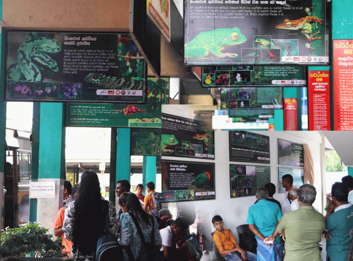 සිංහරාජයේ හරිත දොරටුව; කලවාන බස් නැවතුම්පොළ පරිසර අධ්‍යාපන කේන්ද්‍රස්ථානයක් වෙයි