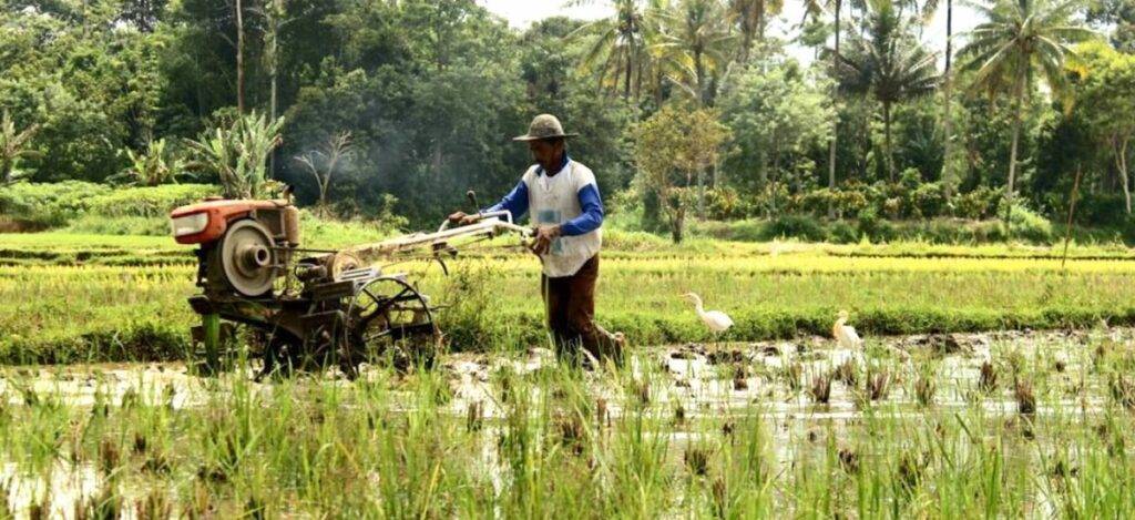 farmers 1 1200x550 1 1024x469