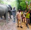ලෝක වන අලි දිනය නිමිත්තෙන් වන අලින් 60කට රේඩියෝ කරපටි!