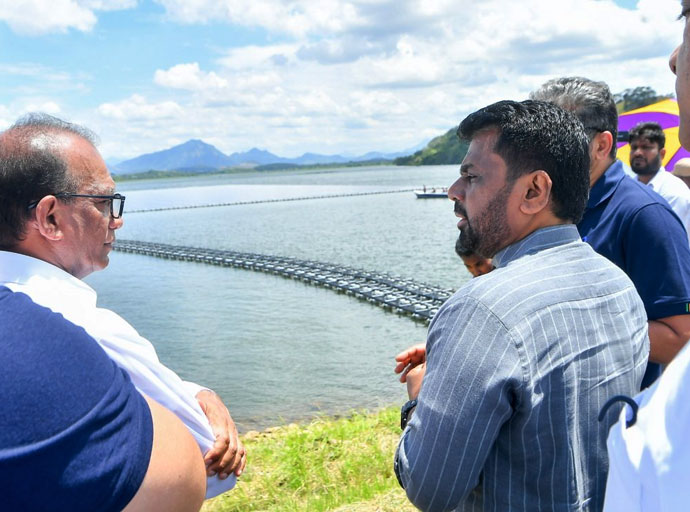  “දිය ජනනි” පාවෙන සූර්ය විදුලි බලාගාරය ජාතික විදුලිබල පද්ධතියට එක් කෙරේ