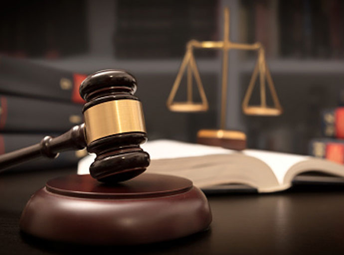 ලංකා ඛනිජ වැලි සමාගමේ හිටපු සභාපති උදේනි දසනායකට ඇප