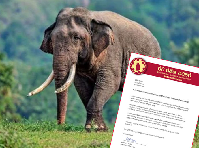 කාවන්තිස්සගේ මරණයේ වගකීම භාරගෙන වනජීවී ඇමති ඉල්ලා අස්විය යුතුයි - 'රට රකින පරපුර'