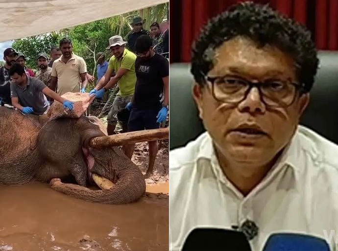 “කාවන්තිස්ස බේරාගන්න උපරිමයෙන් මැදිහත් වුණා" - පරිසර ඇමති