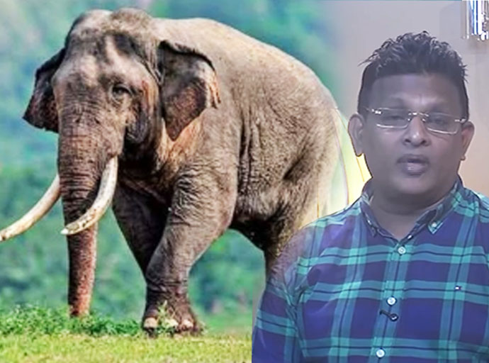 "කාවන්තිස්ස හස්තියාගේ මරණය ඝාතනයක්" – පරිසරවේදී නයනක රන්වැල්ල