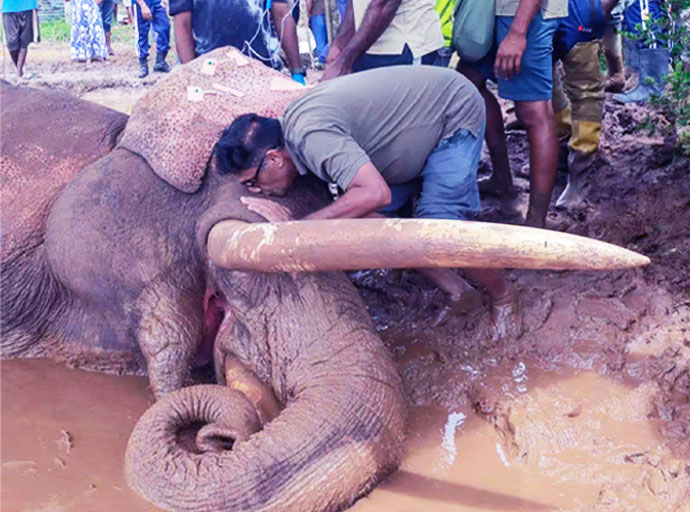 සජිත්ගේ දේශපාලන සතිය - වසර 12 කට පෙර හමුවූ මිතුරාට සමුදුන් හැටි.