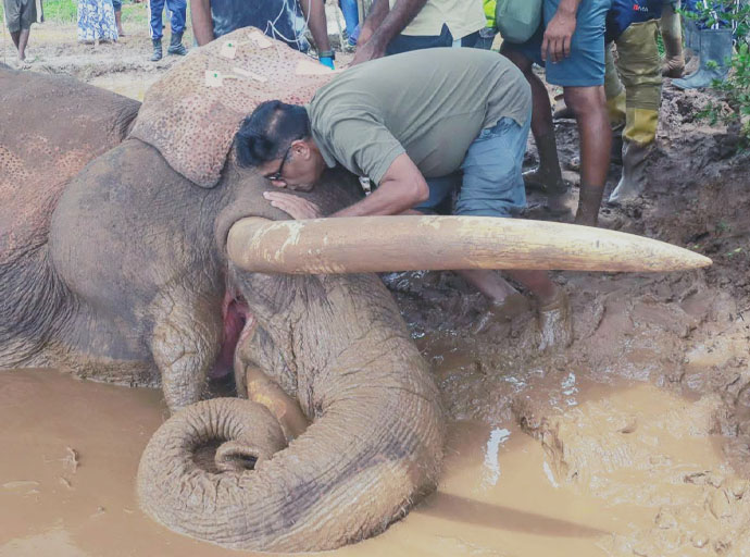 "එයාට කාවන්තිස්ස ආයේ නැගිටින්නේ නැහැ කියල දැනෙන්න ඇති.." | මහේෂ් හපුගොඩ
