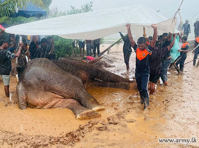 'කාවන්තිස්ස'ගේ මරණය විමර්ශනයට ජනාධිපතිගෙන් විශේෂඥ කමිටුවක්: වාර්තාව දින 30කින්!