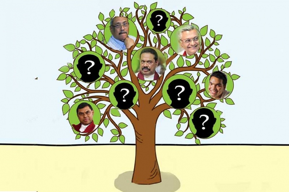 නාමල්ට හෙටක් හදන්න : රාජපක්ෂ පවුල් ගහේ අලුත් මුහුණු එල්ලයි !