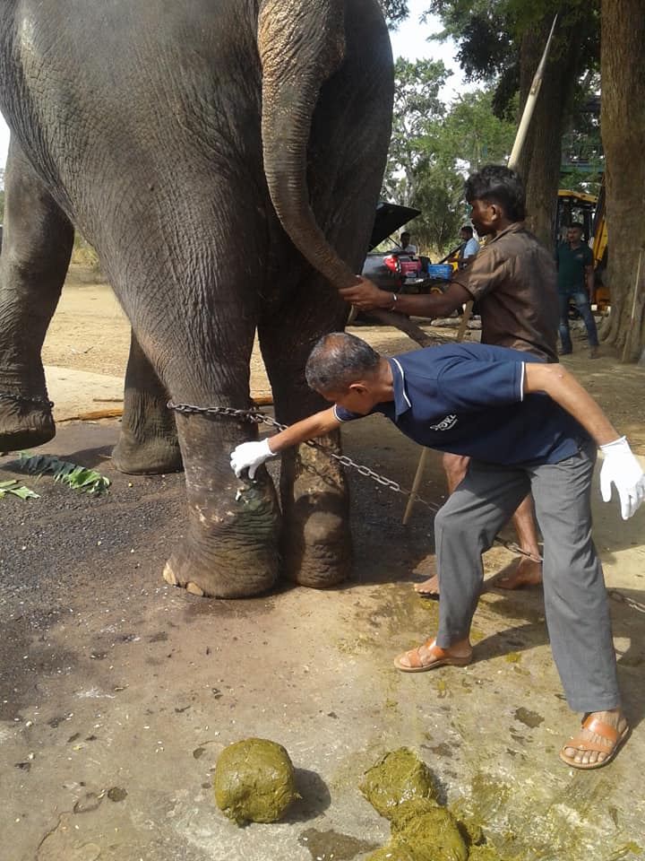 42908118 2052204018136273 1780970504966897664 n