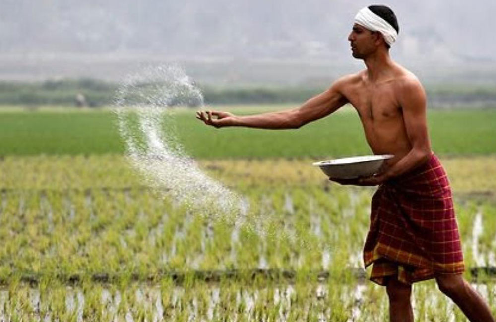 හදිසි පොහොර ඇනවුමෙන් කෝටි 86 ක පාඩුවක් !