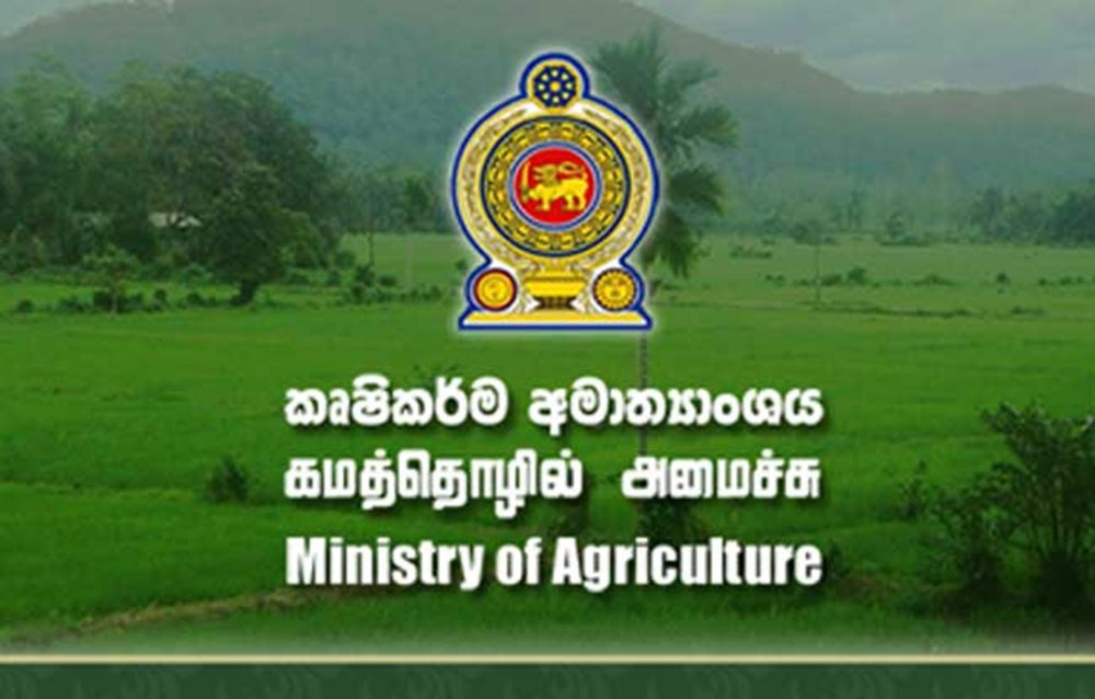 කෝටි දෙකක් වැය කර කෘෂි ලොක්කන් ඊශ්‍රායලයට