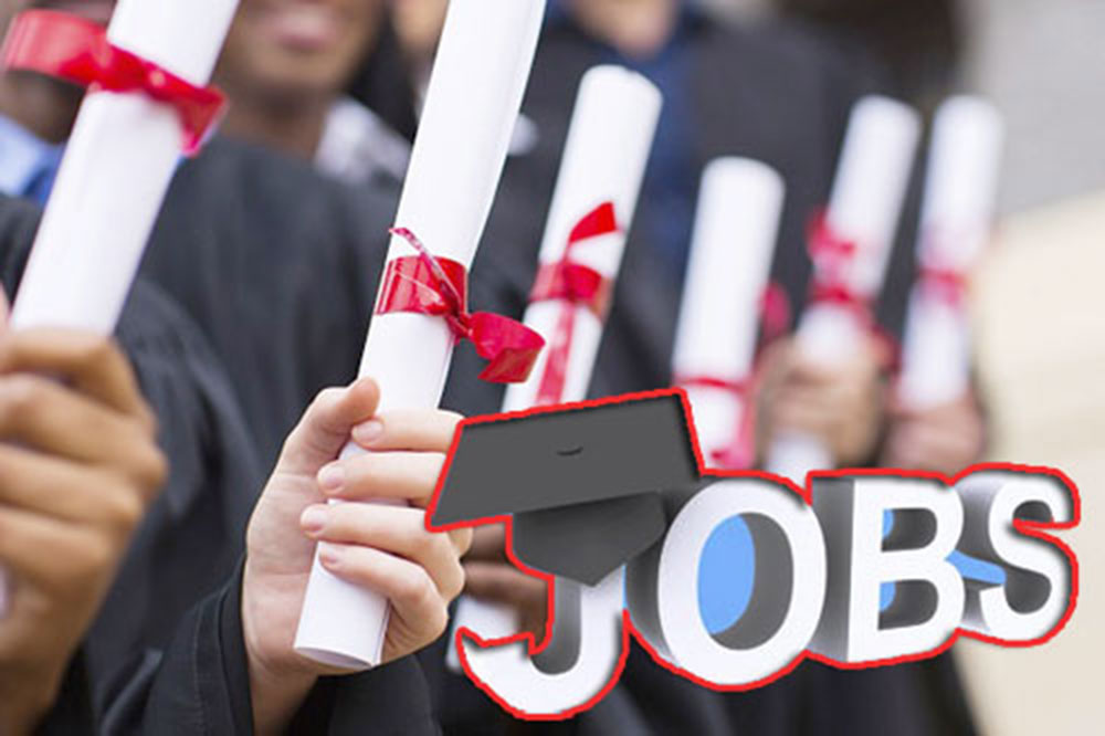 පත්වීම් භාරනොගත් උපාධිධාරීන්ට රස්සාවට තට්ටු වෙයි !