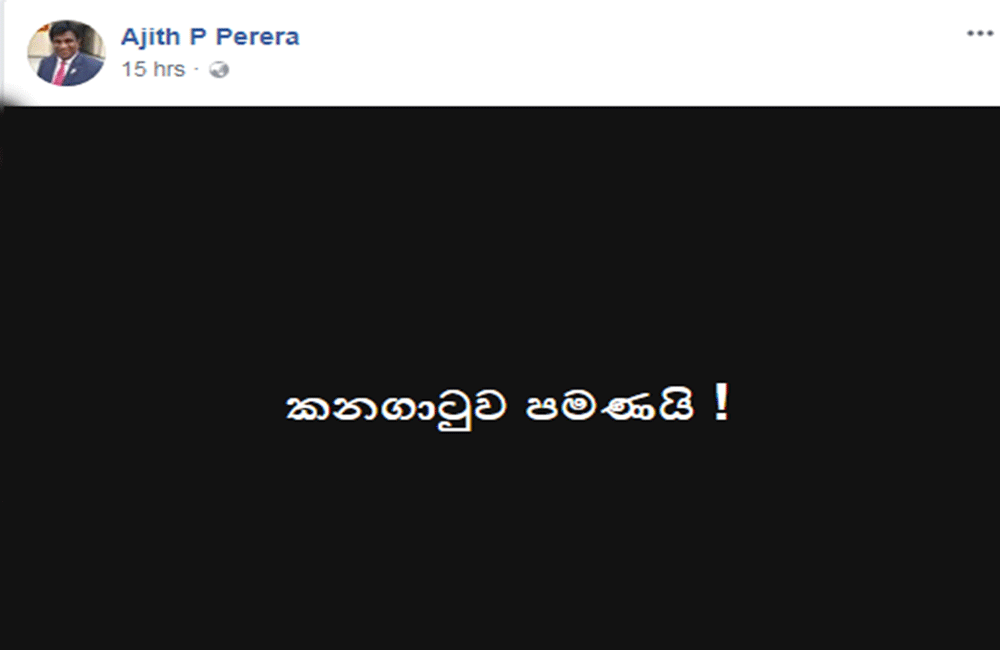 එජාප ප්‍රතිසංවිධානය හමුවේ පක්ෂය යළිත් නොසන්සුන් !