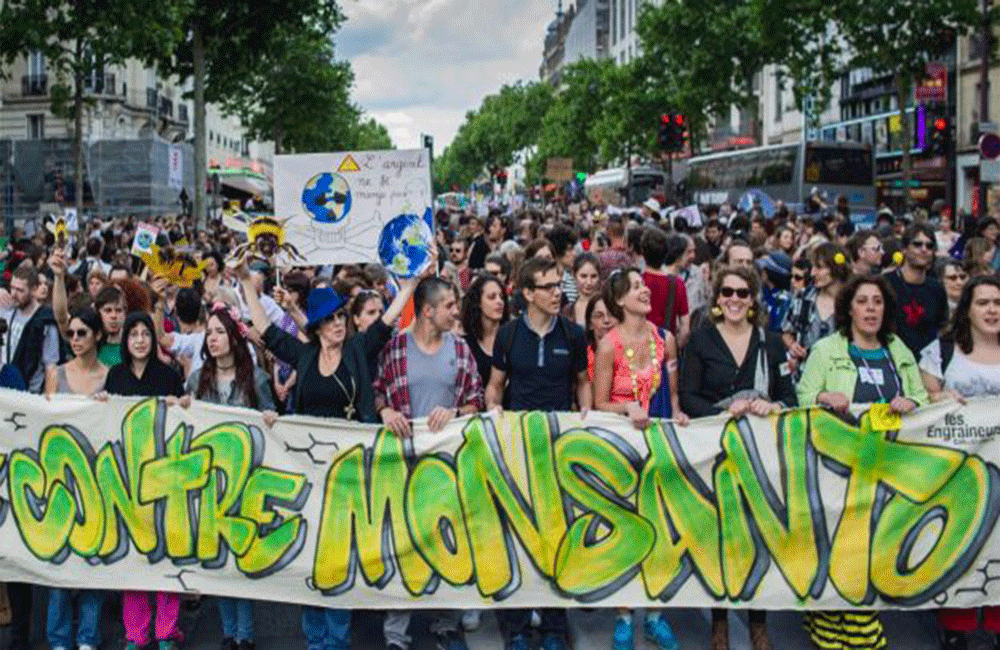 ග්ලයිෆොසේට් තහනම ඉවත් කළේ මොන්සැන්ටො අවශ්‍යතාවට