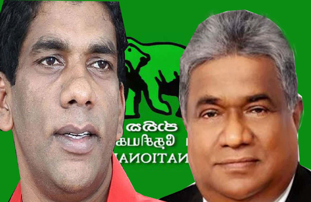 මුස්ලිම් කොංග්‍රසයේ  සහ දෙමළ ප්‍රගතිශීලී සන්ධානයේ සහය රනිල්ට