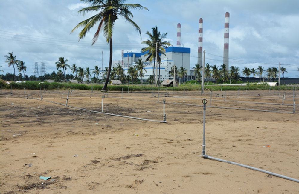 නොරොච්චෝලේ අළු වැස්සක් !