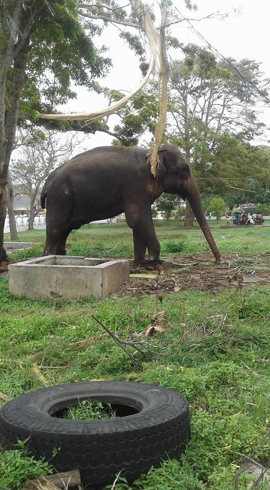 39940291 2004695829553759 3539837978652180480 n