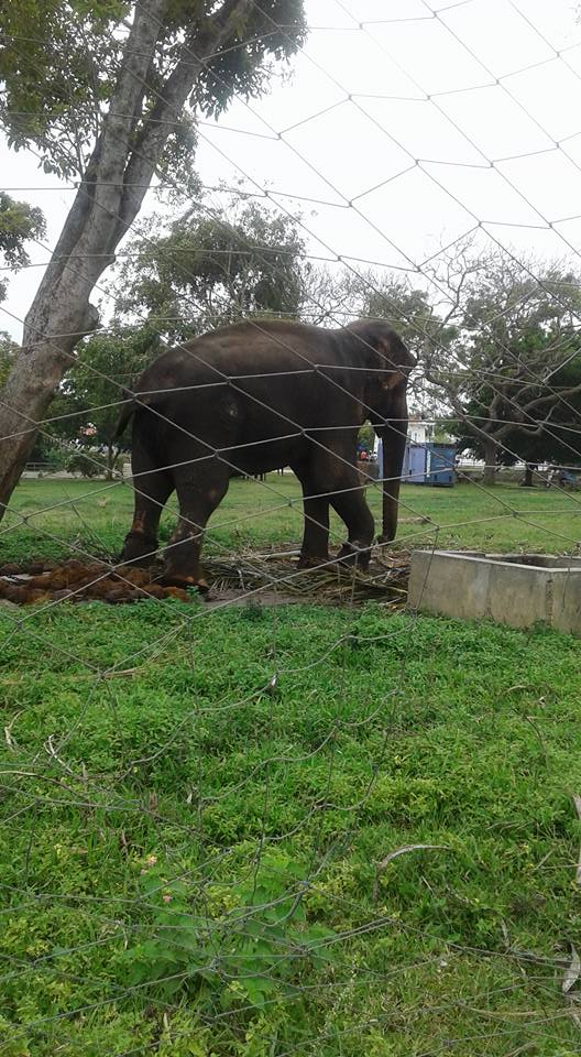 39961509 2004697106220298 6756202213393039360 n