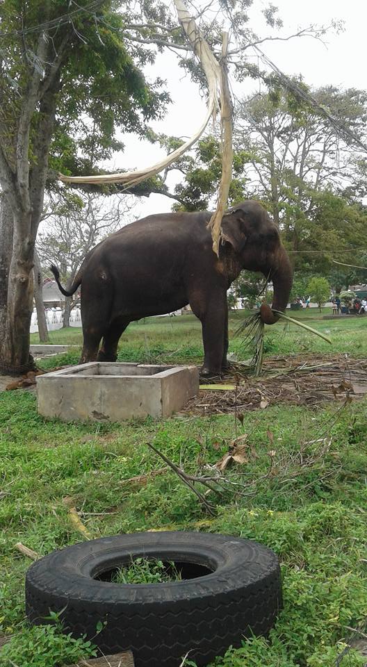 40001249 2004696926220316 4585378712379195392 n 1