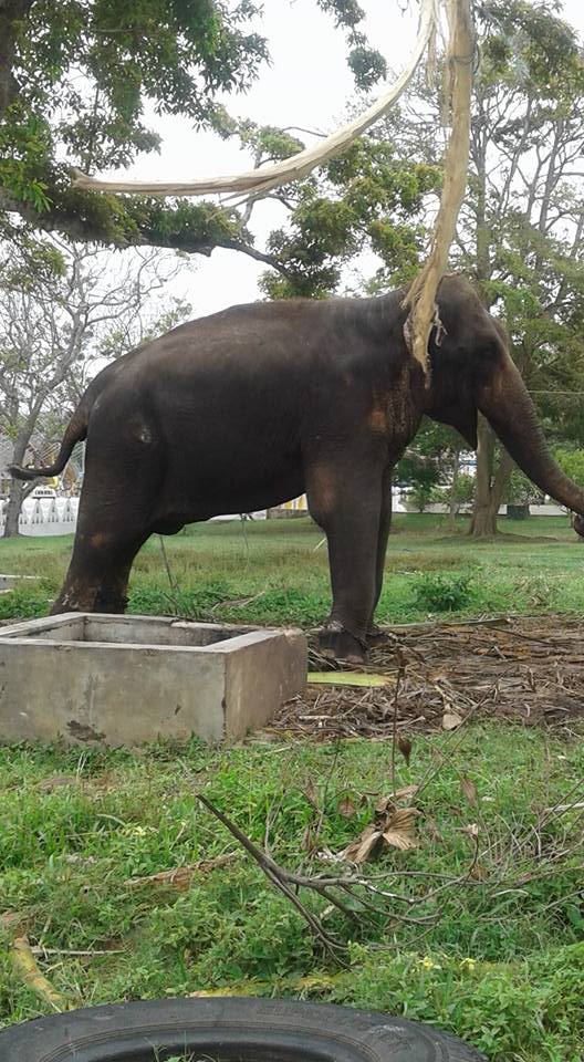 40005438 2004697362886939 3339253874828509184 n