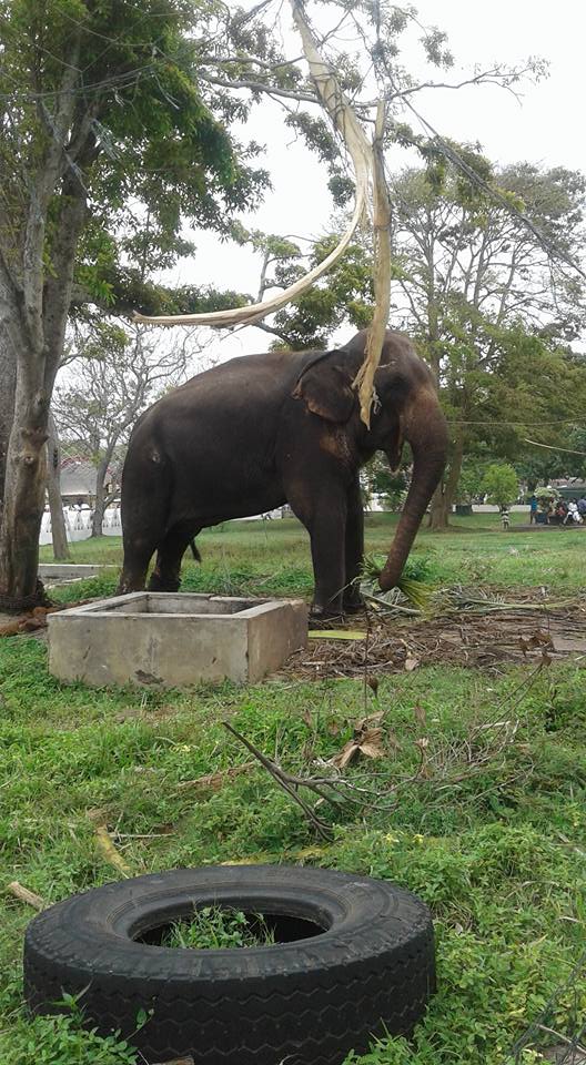 40082801 2004695509553791 398775958108110848 n