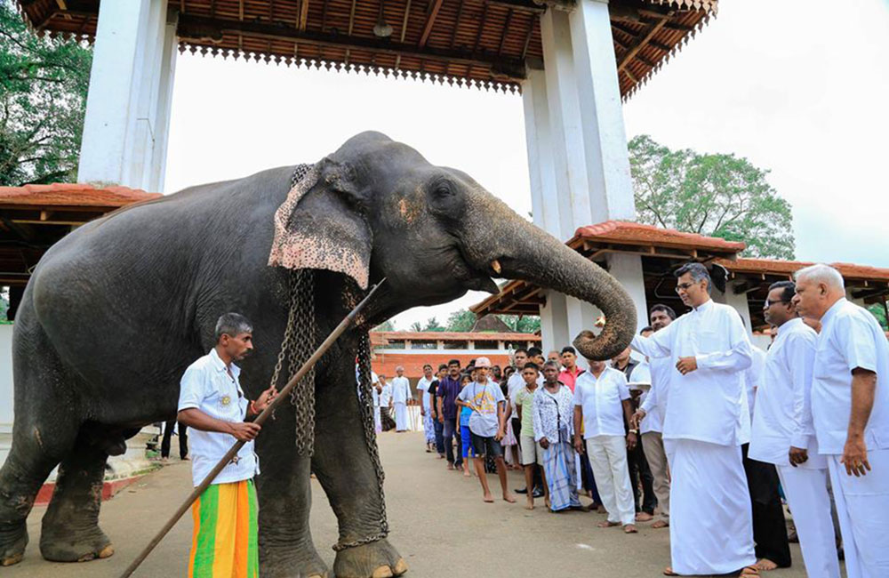 ජාතික මංකොල්ලකරුවන්ට එරෙහිව නීතිය කඩිනම් කල යුතුයි - පාඨලී 