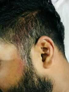 49074711 1789695671136702 1231055888958095360 n