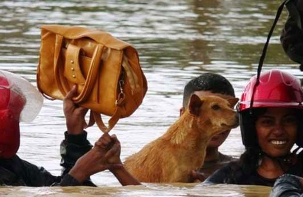 උතුරේ ගංවතුර : පවුල් 2788ක් අවතැන් !