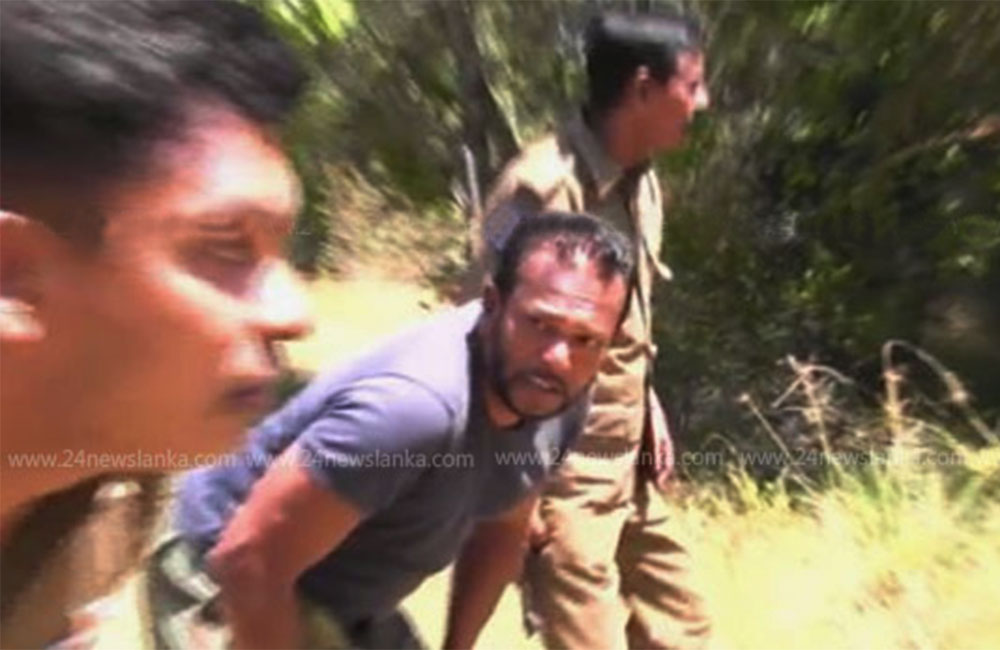 තෙවාගේ අලි පැන්නිල්ල සාර්ථකයි !