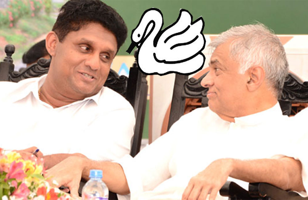 රනිල් සජිත් සමඟ හංසයා යළිත් කරළියට ! 