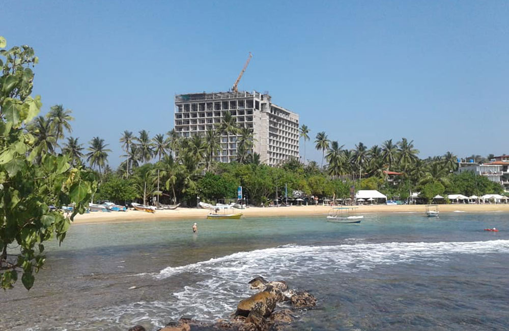 නිල අල්ලා හදන ඩඩ්