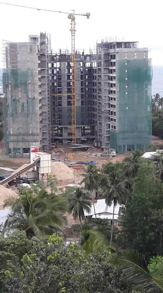 51565915 2239170889439584 1022505625822691328 n