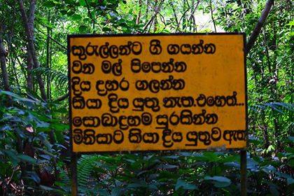 50806979 1768152049957450 3333573205053931520 n