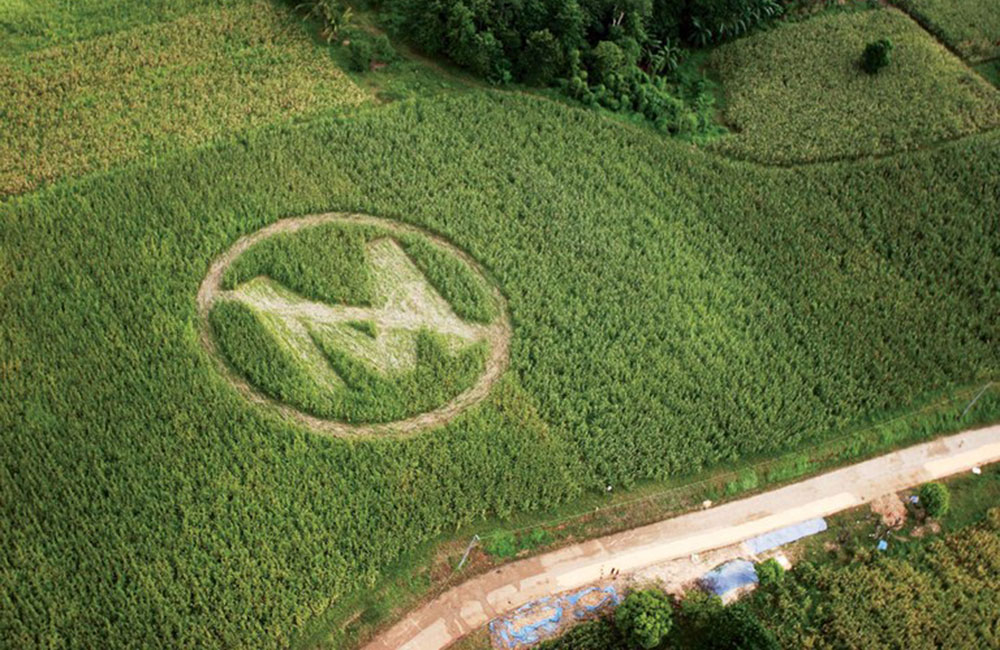 සේනා දළඹුවා මොන්සැන්ටෝ ගේමක් ?